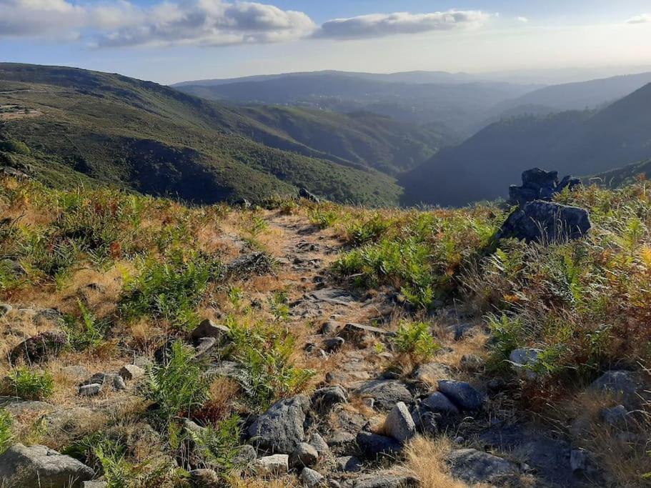 Casa Do Sol - Natureza & Lazer - Serra Da Freita Arouca Kültér fotó